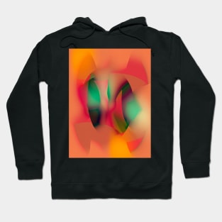 Colorful Misty Gradient 09 - Fever Colors Hoodie